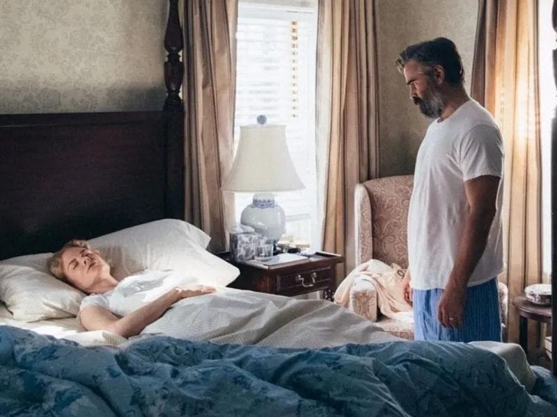 سومنوفیلیا، سکس در خواب